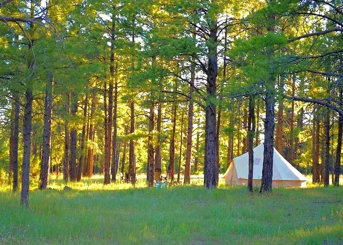Grand Canyon Glamping Tents Perfect For Arizona Vacations Holiday home Grand Canyon Village